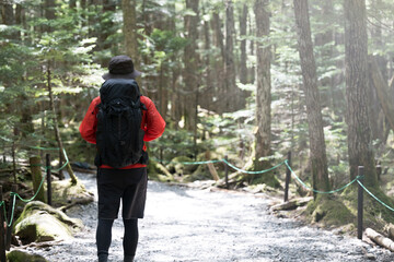 リュックを背負って登山をする人の後姿