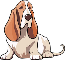Cute Basset Hound dog puppy cartoon with outline