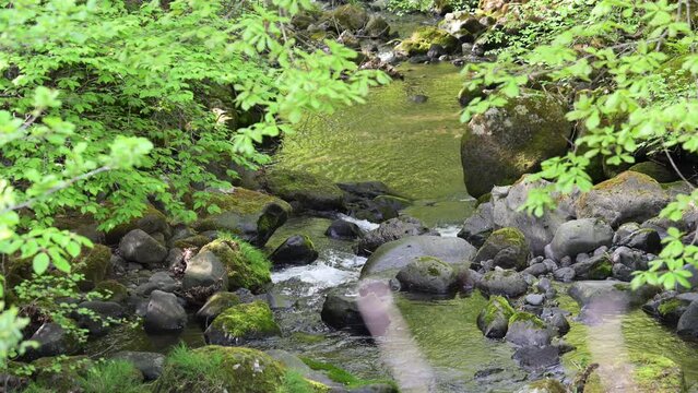 Upstream rivers in Japan that are easy to use as backdrops for sightseeing and travel. Clear streams.　video