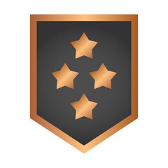 bronze rank badge