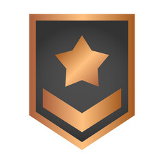 bronze rank badge