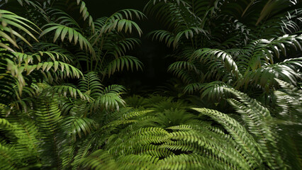 Fototapeta na wymiar Tropical Forest Background