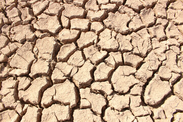 dry cracked soil