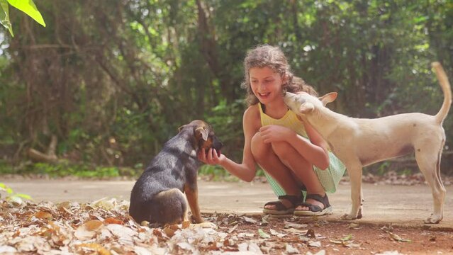 Girl Petting And Giving A Kiss To Dogs