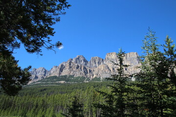Fototapeta na wymiar Castle Mountain, Banff National Park, Alberta
