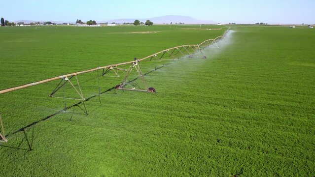 Center pivot irrigation watering a crop 4K 30 FPS