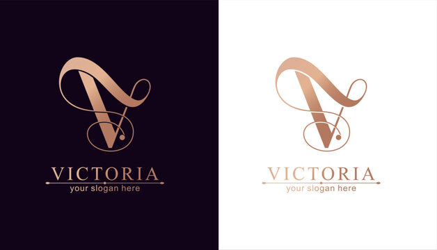 V logo. V letter logo template elements. personal monogram. Vector elegant logo