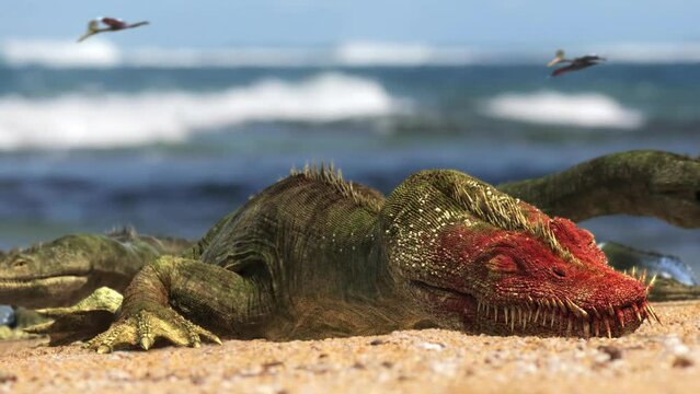 Close up of a nothosaurus sleeping in the beach seaside of the ocean during the day, 3d render animation