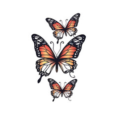 Obraz na płótnie Canvas Assorted Butterfly Drawing Outline Aesthetic, Butterfly Vector Mix Color Unique Pattern, Butterfly Realistic Sketch Line art Hand Drawn 