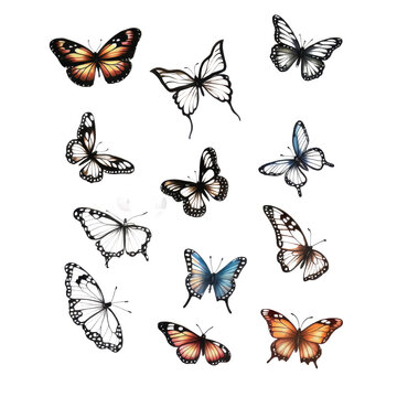 Assorted Butterfly Drawing Outline Aesthetic, Butterfly Vector Mix Color Unique Pattern, Butterfly Realistic Sketch Line art Hand Drawn	