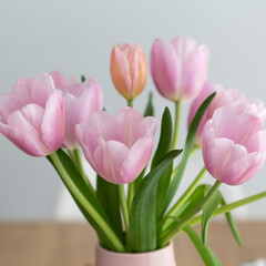Pink tulip bouquet indoor decoration scene on a grey background
