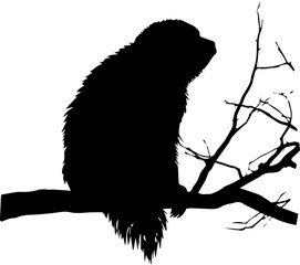 silhuette sloth animal images
