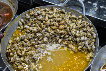 Vietnamese stewed seashells in sauce in the night market on food festival