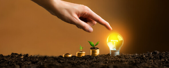 lightbulb with small plant on soil and sunshine. concept saving energy in nature. Businessman touching a bright light bulb.