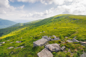 wonderful summer landscape in mountains. grassy meadows and rolling hills. boulders and stones on the hillside. picturesque scene in morning light. ukrainian carpathians countryside scenery