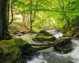 river in the forest among boulders. outdoor nature scenery in spring. ecology and fresh water...
