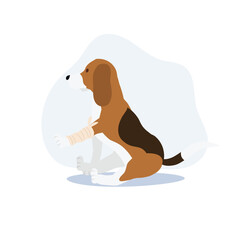 a dog with a bandage. a Dog Get Sick Hurt, Wounded.  Flat vector cartoon illustration