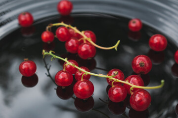 Berries of red currant on a black plate close-up.