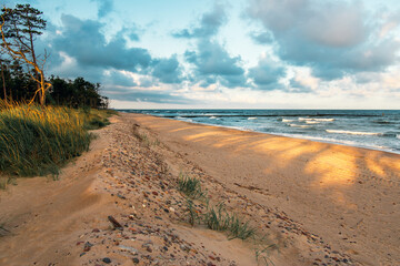 A beautiful beach on the Baltic Sea. Dunes, chiaroscuro, trees, grasses and golden sands. Pebbles on the beach scattered by the Baltic Sea.