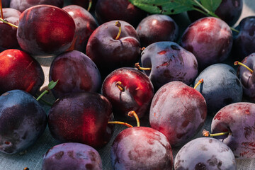 Fresh plum, fruits of ripe organic fruits on kitchen table, top view. seasonal harvest