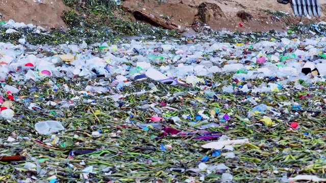 Waves pushing floating plastic trash and lilies to a tropical beach