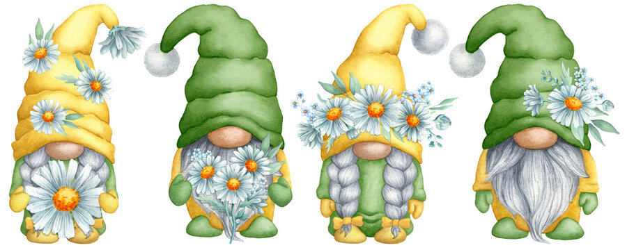 Set of watercolor gnomes with daisy. Spring-summer dwarf Gnome isolated on white background, for printing greeting cards invitations, prints, banners etc.