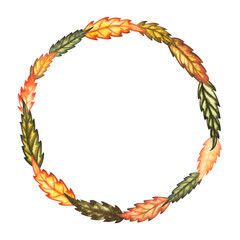 Watercolour wreath frame with autumn ashberry rowan leaves hand drawn illustration for greeting card, wedding decoration, product decoration. On white background.