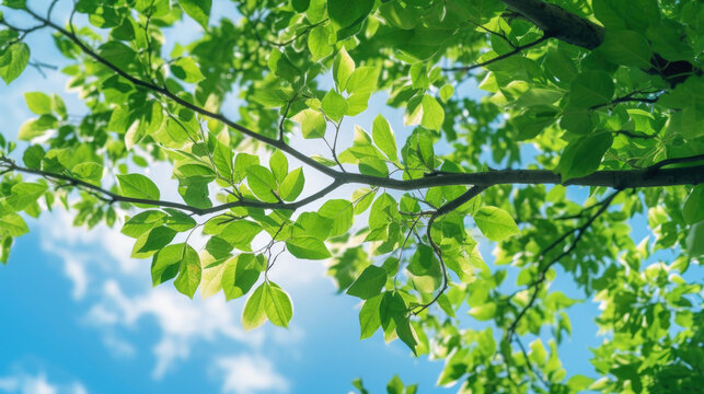 Green leaves of a tree against the blue sky. Generative AI