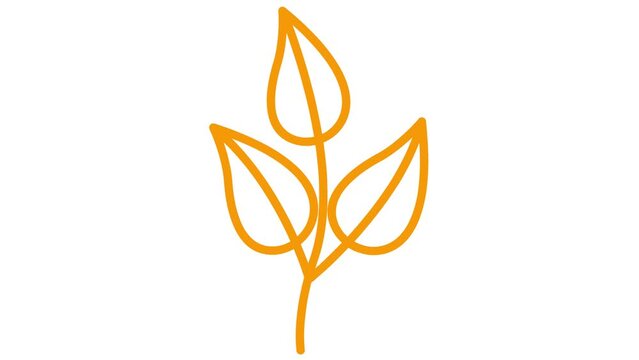 Animated linear orange plant with leaves. Icon of tree sprout. Symbol is drawn gradually. Concept of organic food, ecology, agronomy, harvest. Vector illustration isolated on white background.