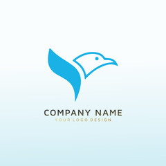 Healthcare consulting sophisticated Peregrine logo design