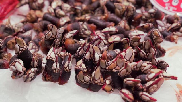Fresh barnacles (Pollicipes pollicipes) at the fishmonger of a local market. Close up.