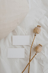 Blank paper card sheet with empty free copy space for mock up. Poppy stems and clay pot. Aesthetic neutral beige colour. Flat lay, top view