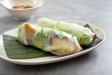 A view of a plate of bean curd spring rolls.