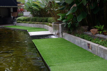 Green trees in the background sky view from the bottom up 