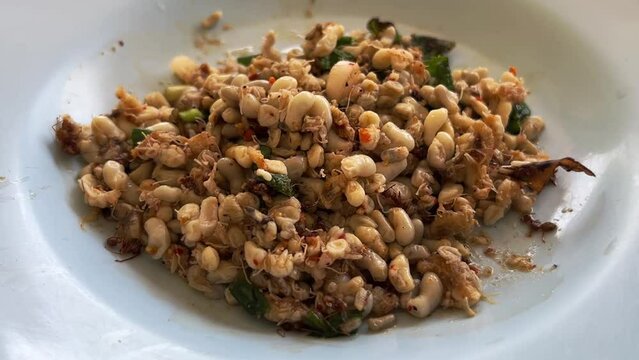 ant eggs spicy salad in white dish (yum khai mod daeng)