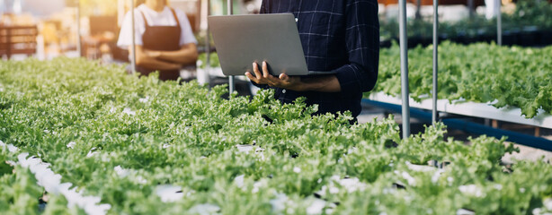 Farmer man and woman using laptop examing quality at vegetable hydroponic at greenhouse. Concept of...