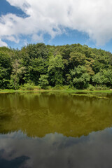 Obraz premium Reflection of the blue sky in the lake. Lake view in spring. Trees reflected in the water. Forest reflections in the water. Belgrade Istanbul.