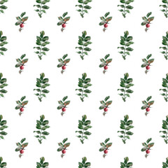 Watercolor seamless border with flowering branches, leaves and rosehip fruits