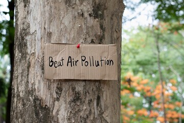 Cardboard from boxes cover with texts ' Beat Air Pollution', was sticked on tree bark to call out all people to care about and to beat the pollution from plastic.