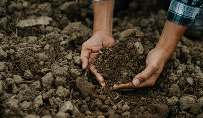 Oldman farmer holding soil in cupped hands.