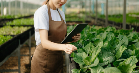  Asian couple of farmers inspects plants with a digital tablet. Smart farming  In a greenhouse...