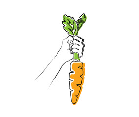 Doodle line drawing of hand holding carrot. Carrot simple line art can be use for agricultural, farming , organic food and vegan concept.