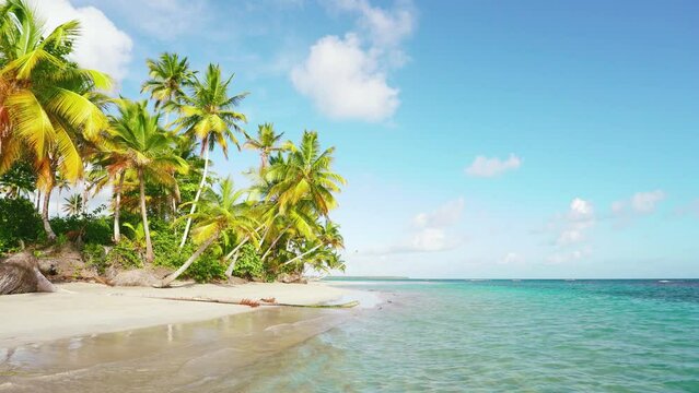Sunny day on a sandy Mexican beach of ocean bay palm trees. Fantastic tropical island for travel. Sunny blue sky holiday vacation background. Amazing summer travel concept. Exotic nature close up.