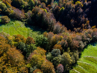 Autumn landscape in La Garrotxa, Girona, Spain.