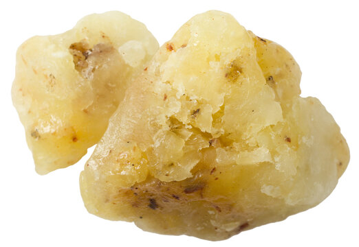 Gum Elemi, isolated on white background.