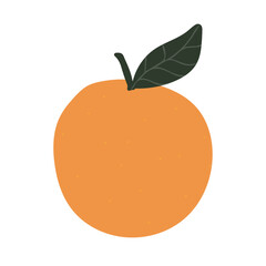 Hand drawn minimal trendy orange fruit (Full Vector)