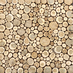 Tree stumps background. Cutting tree trunks placed together for interior decorate. Decoration of cutting tree