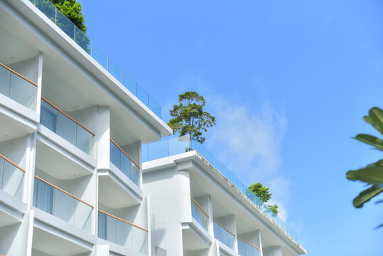 Beautiful top part of modern glass building with big tree aside, background of blue sky and clouds. Concept for corporate Buildings.