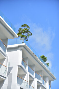 Beautiful top part of modern glass building with big tree aside, background of blue sky and clouds. Concept for corporate Buildings.