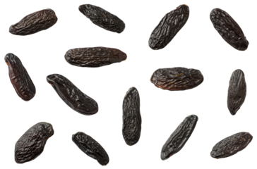 Tonka beans isolated on white background, top view.